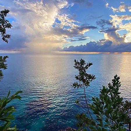 Oceanfront Condo W/ Free Parking + High Speed Wifi Негрил Екстер'єр фото