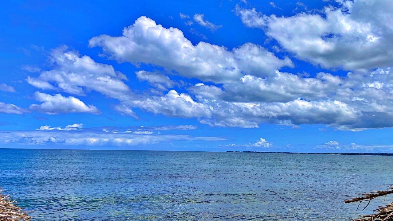Oceanfront Condo W/ Free Parking + High Speed Wifi Негрил Екстер'єр фото